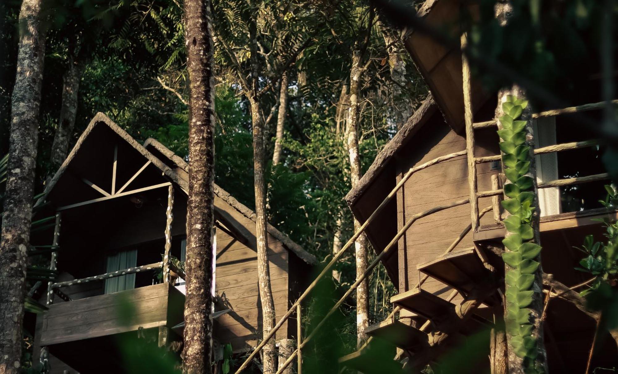 Panchavadi Farm Stay تيكَدِيْ المظهر الخارجي الصورة